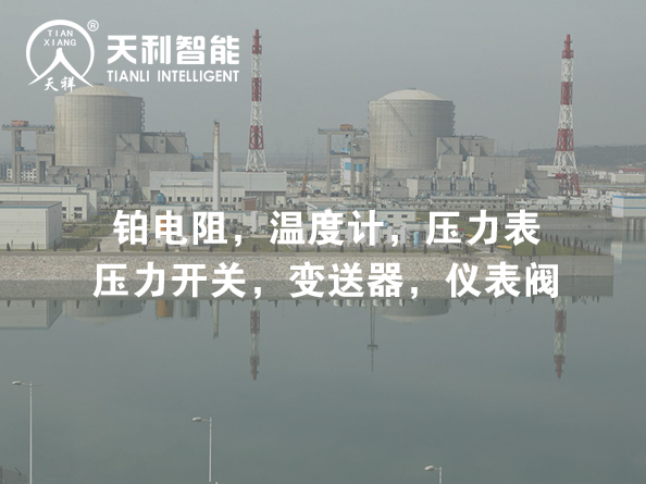 百萬千瓦級(jí)核電站軸封型反應(yīng)堆冷卻劑泵聯(lián)合研 服務(wù)案例