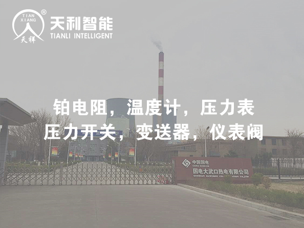 國(guó)電大武口熱電有限公司2*350MW熱電聯(lián)產(chǎn)機(jī)組擴(kuò)建 服務(wù)案例