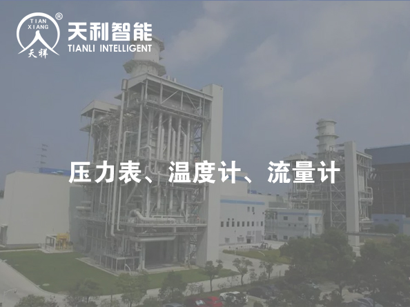 江蘇國信靖江發(fā)電有限公司案例 服務(wù)案例